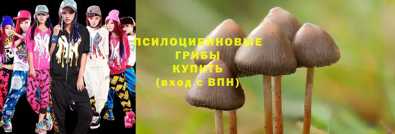 Галлюциногенные грибы GOLDEN TEACHER  OMG ТОР  Дмитров 